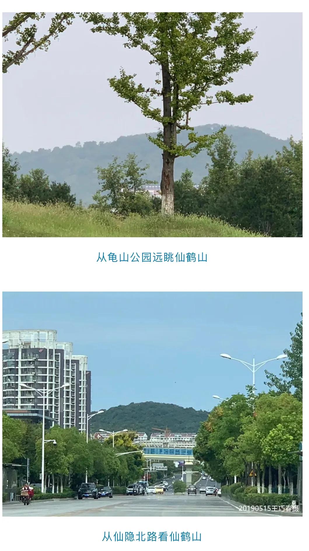 南京仙鹤门凶杀案,南京仙鹤门中学