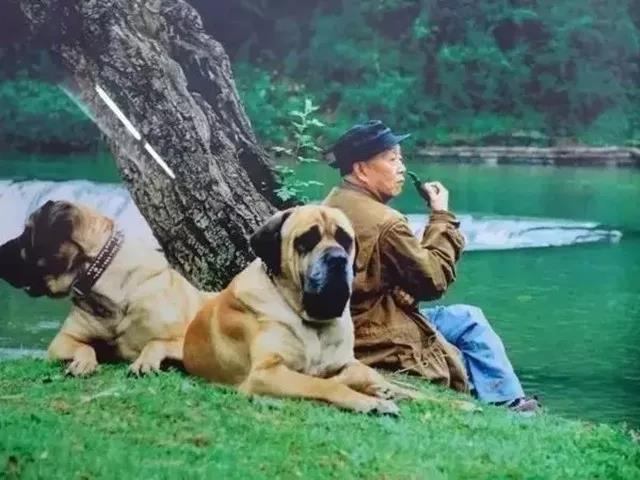 他96岁调侃这个世界，“趁我没死，快来夸我”，衣袖一挥暗香涌动