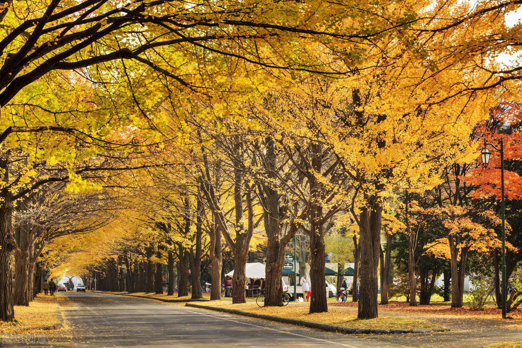 男子易泄五年，我让他先调脾胃，所谓脾胃健运，精关方可得固