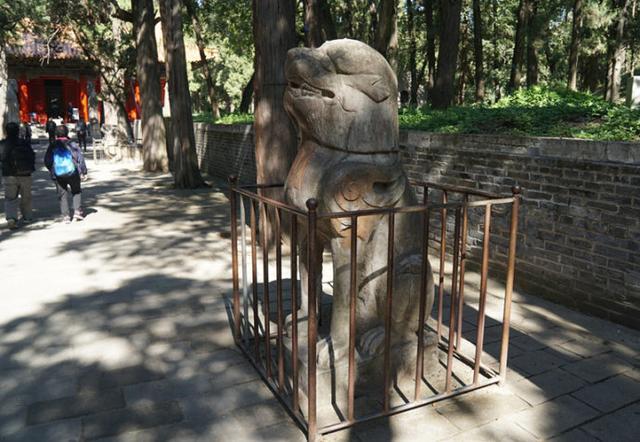 孔林是最大的氏族墓地吗,孔林各个时代的墓葬