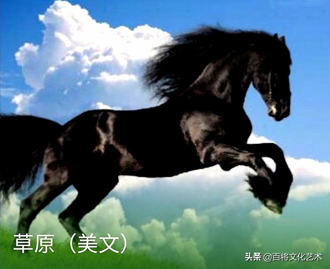 美文大兴安岭,美文油菜花