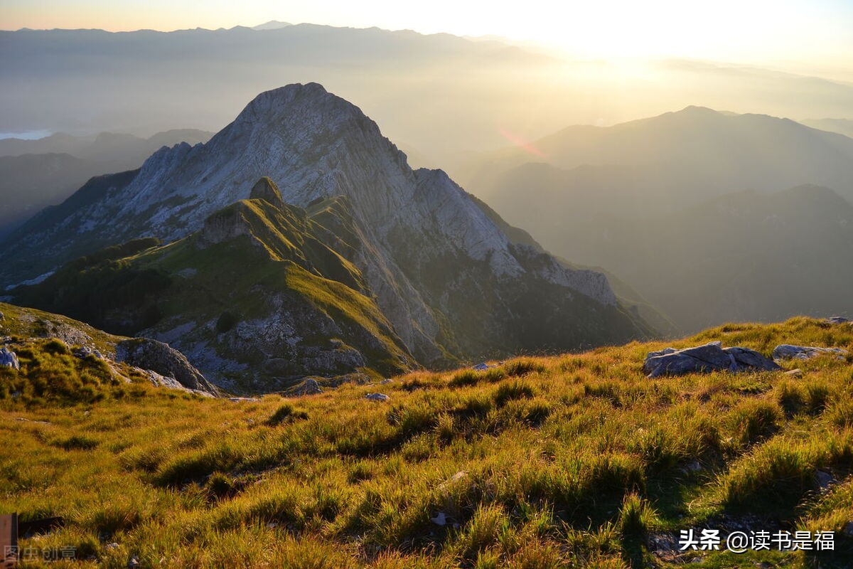 国学搜神记视频,国学搜神记大全