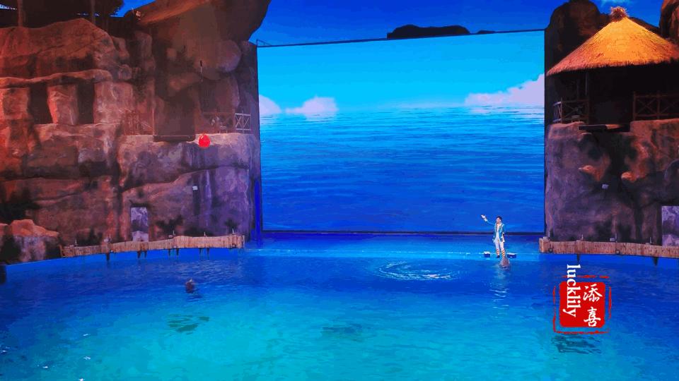 高铁出游度假,高铁出游攻略江浙沪