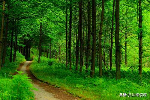 拍案惊奇背后的黑手,初刻拍案惊奇案值得看吗