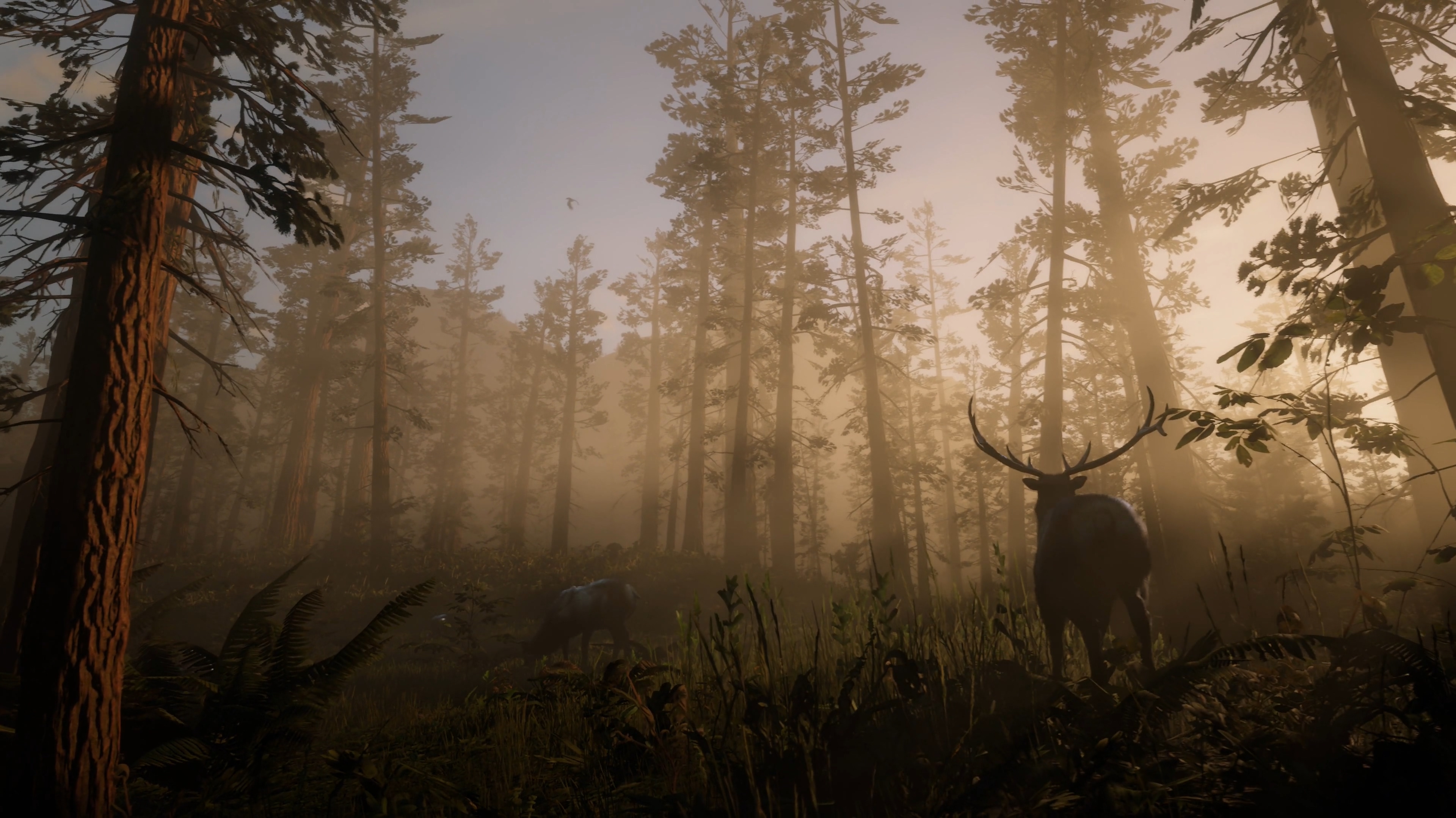 为什么觉得荒野大镖客不好玩,为什么荒野大镖客不火