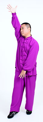 心意拳必学三招,心意六合拳十二把劲练法