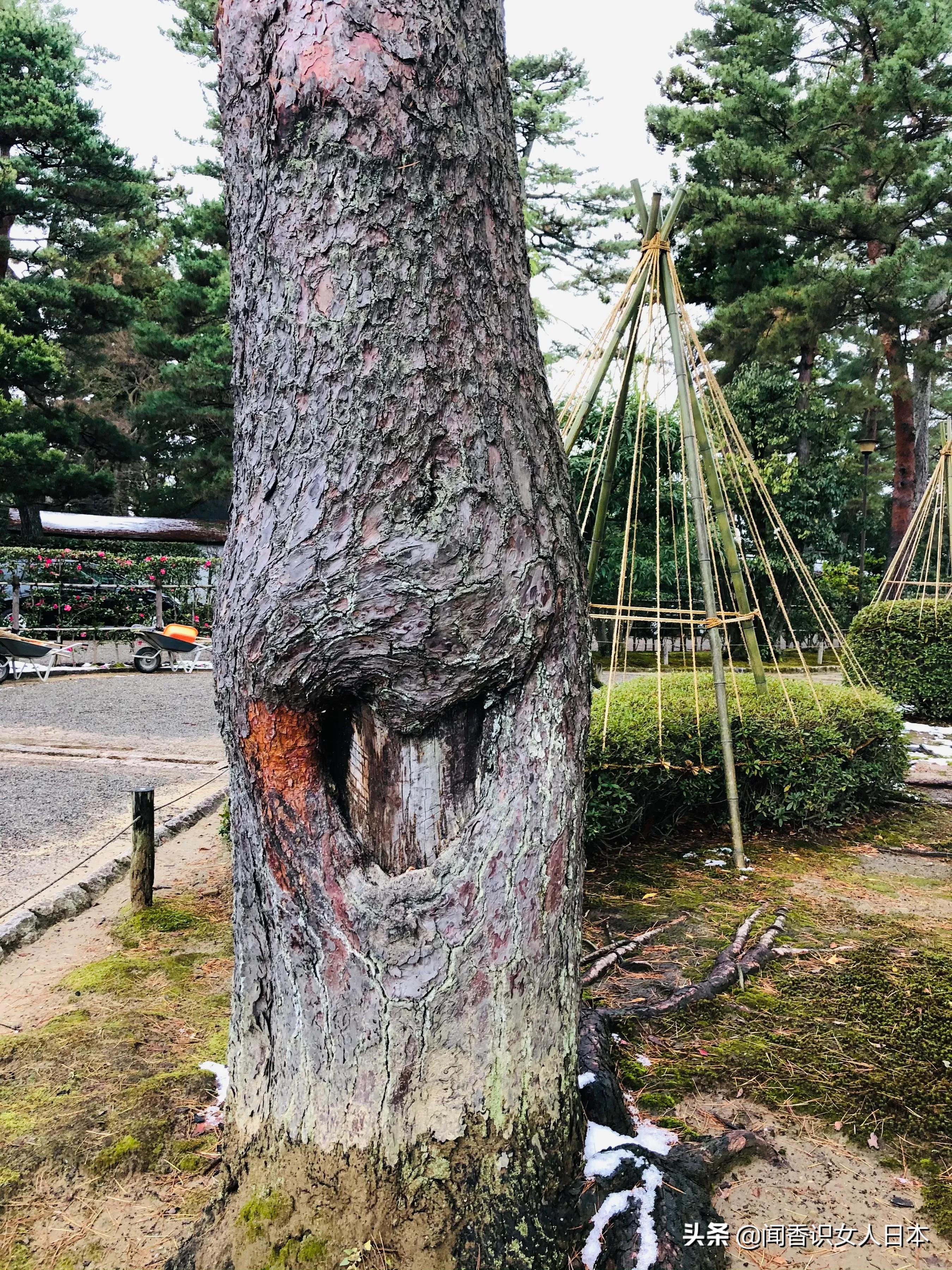 日本三大园林,日本三大名园之一