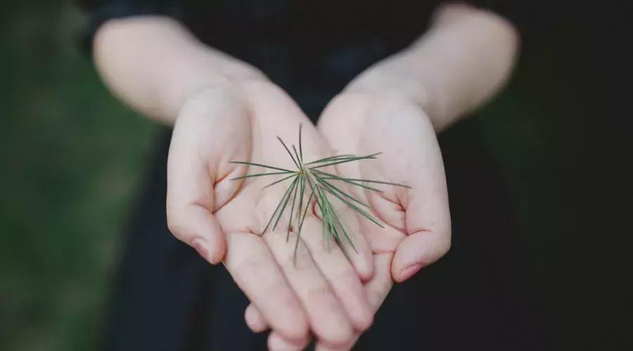 阴阳平衡则身体气血畅通,人体阴阳平衡了身体就好了