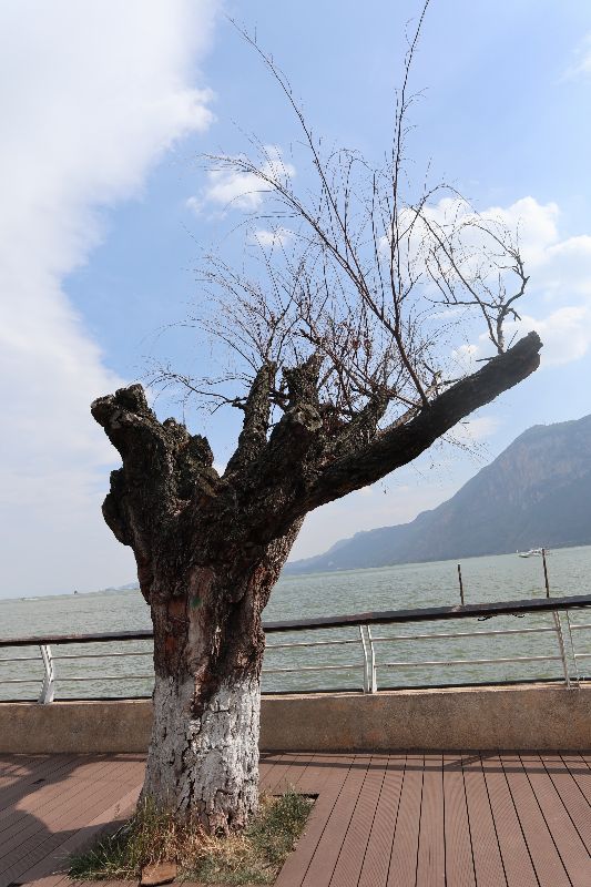 海埂公园环绕航拍视频,昆明海埂公园景点图