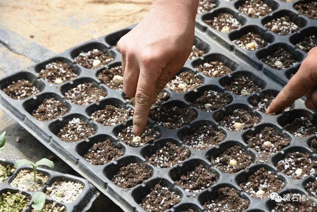 石楼丁喜辉:90后“草根”的创业致富路