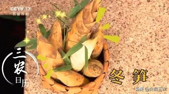冬笋没能去除麻涩味吃了有害吗,冬笋如何焯水去涩味放冰糖和白醋