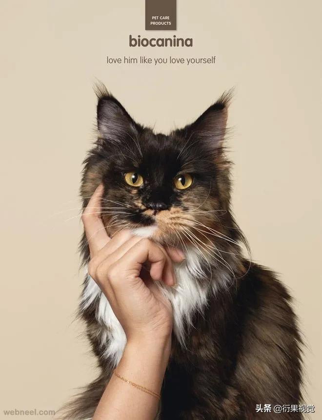 电商设计技巧,二类电商运营技巧