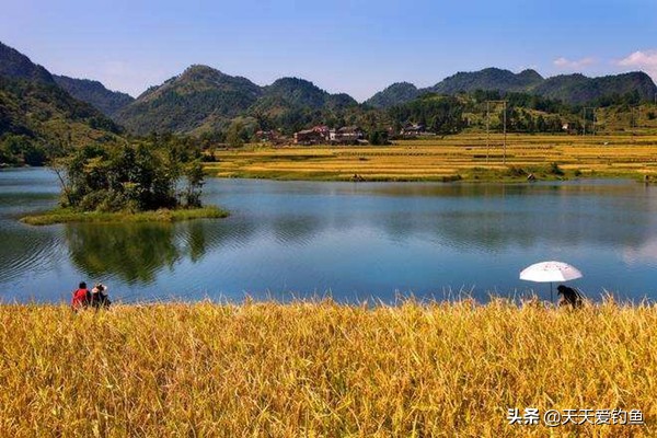 冬天钓鱼技巧与饵料,秋季钓鱼不上钩怎么回事