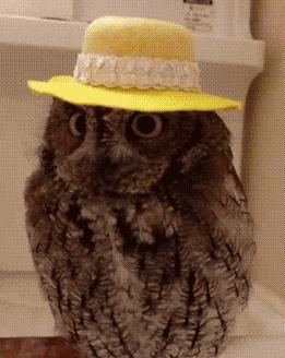 平价又好用的防晒推荐,这个夏天哪些防晒值得买平价篇