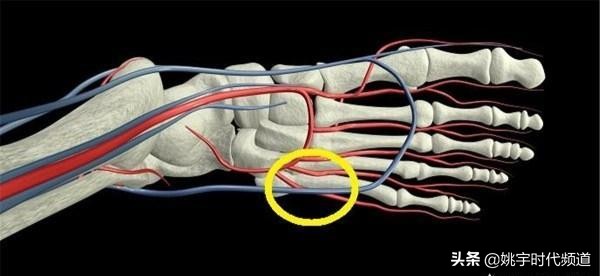 骨折做完手术注意哪些事项,骨折以后做手术以后需要注意什么