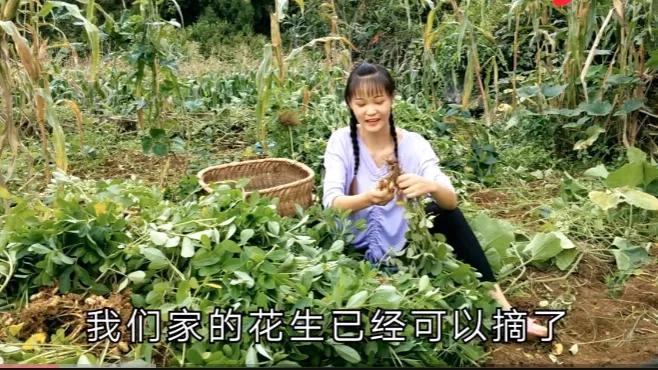 二轮承包到去世老人的土地收回吗,二轮承包分到自留地能确权吗