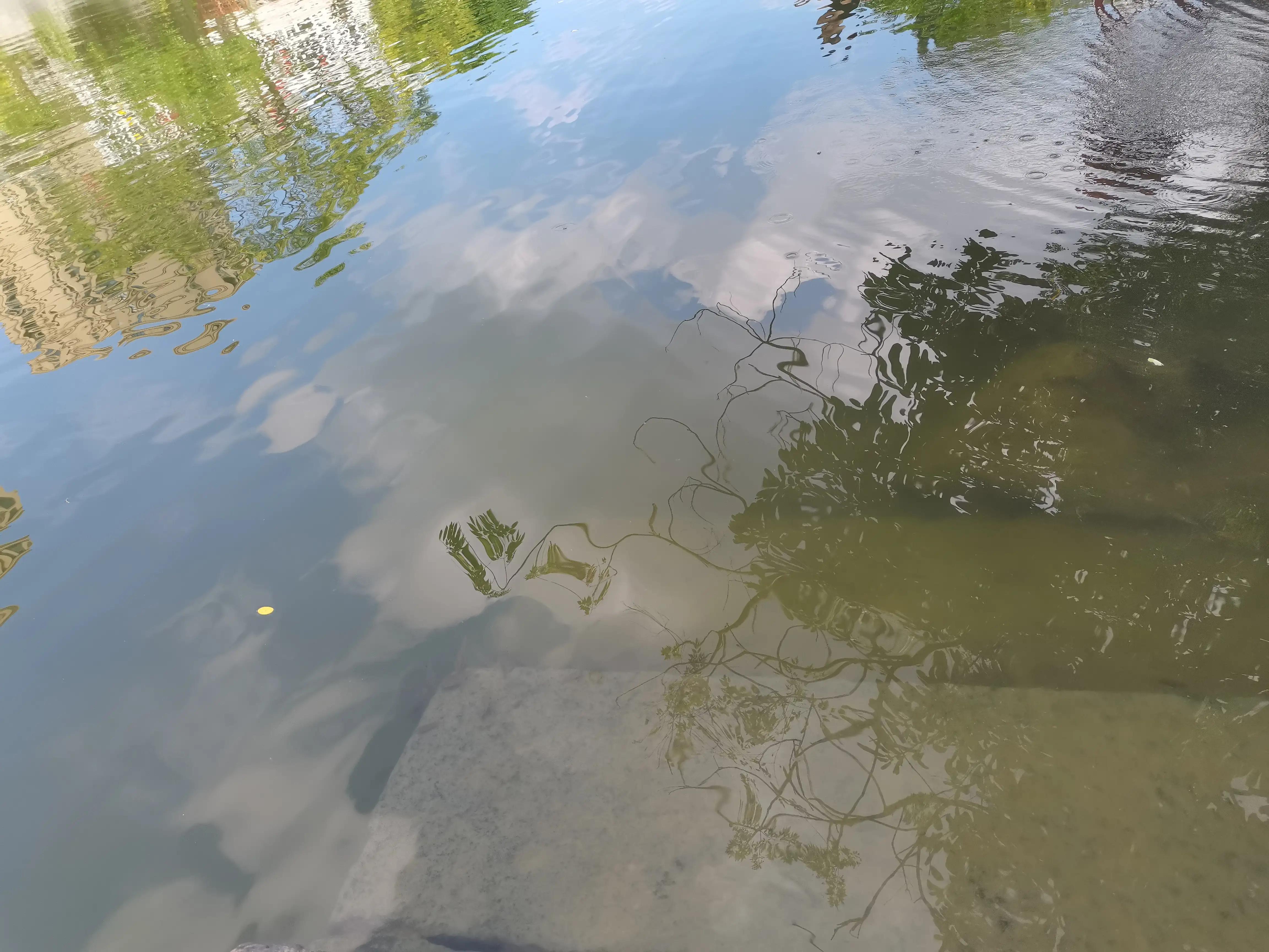 温州茶山风景区游玩攻略图,温州瓯海山根小村景区