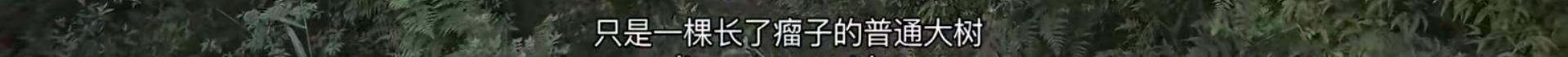 大兴安岭猎人传说在线观看完整版,大兴安岭猎人传说免费播放优酷