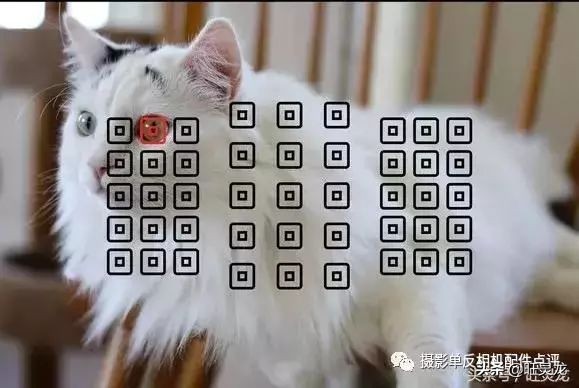 佳能80d哪一年的相机,佳能80d之后升级什么佳能单反好