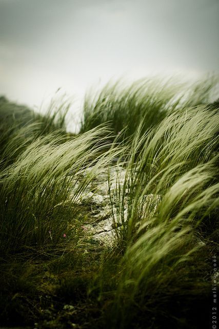 摄影师怎么拍出自己风格,摄影师怎么拍摄中国风