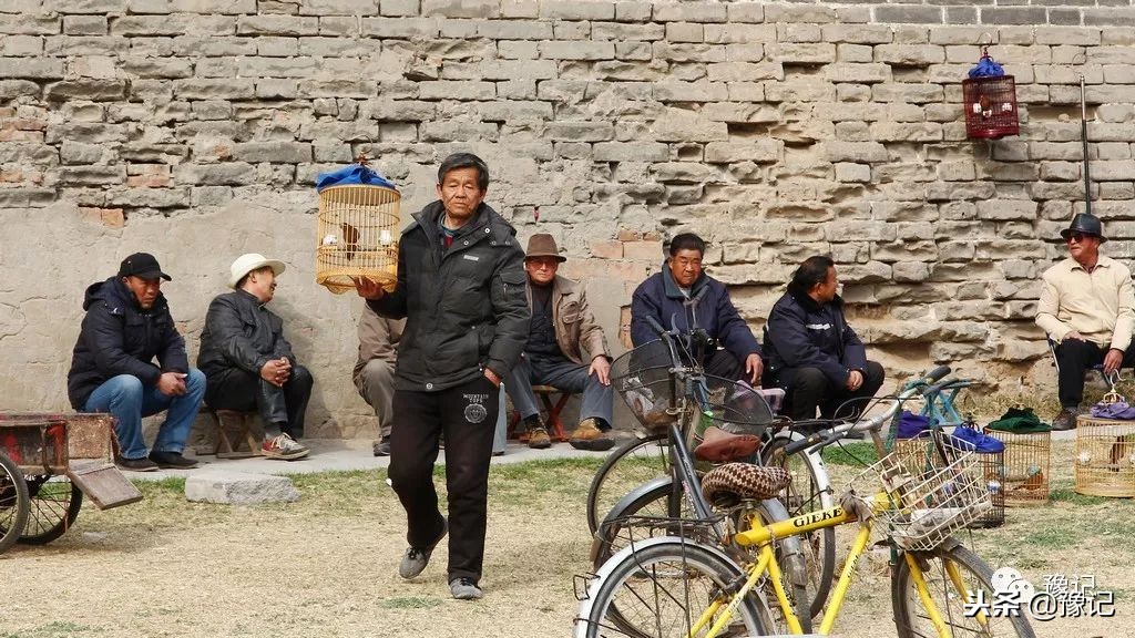 皇城根脚下，那是开封大爷遛鸟的天地