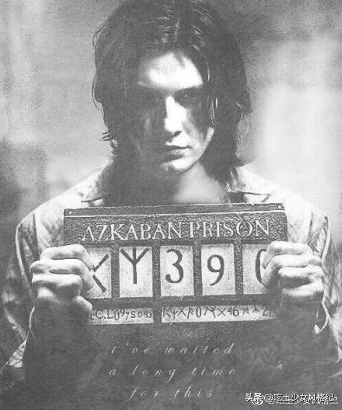 哈利波特四十岁生日的样子,哈利波特十九年后