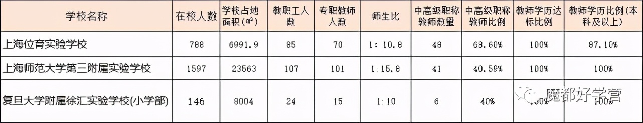 徐汇区一贯制学校,徐汇区九年制一贯制学校