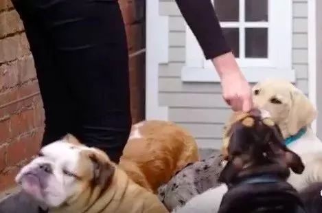 有钱人怎么玩的,有钱人怎么玩