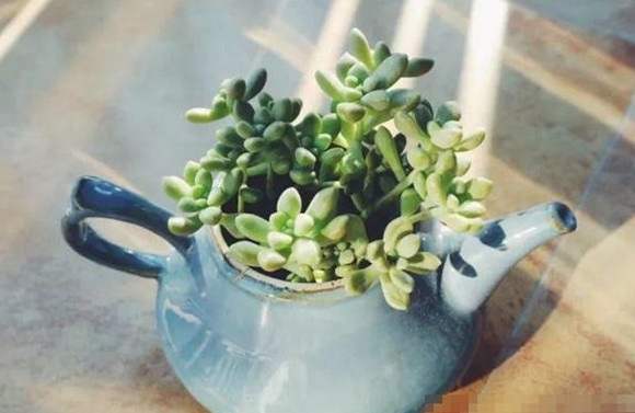 家里破烂太多怎样收纳变废为宝,断舍离清理废物