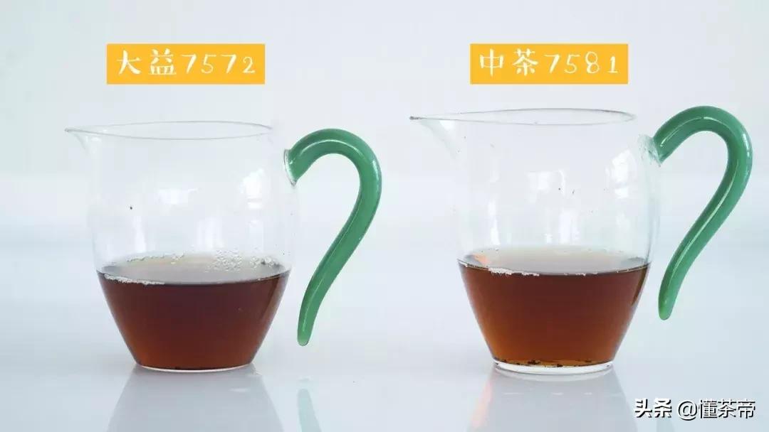 大益普洱茶推荐哪种,大益普洱茶哪个系列值得收藏