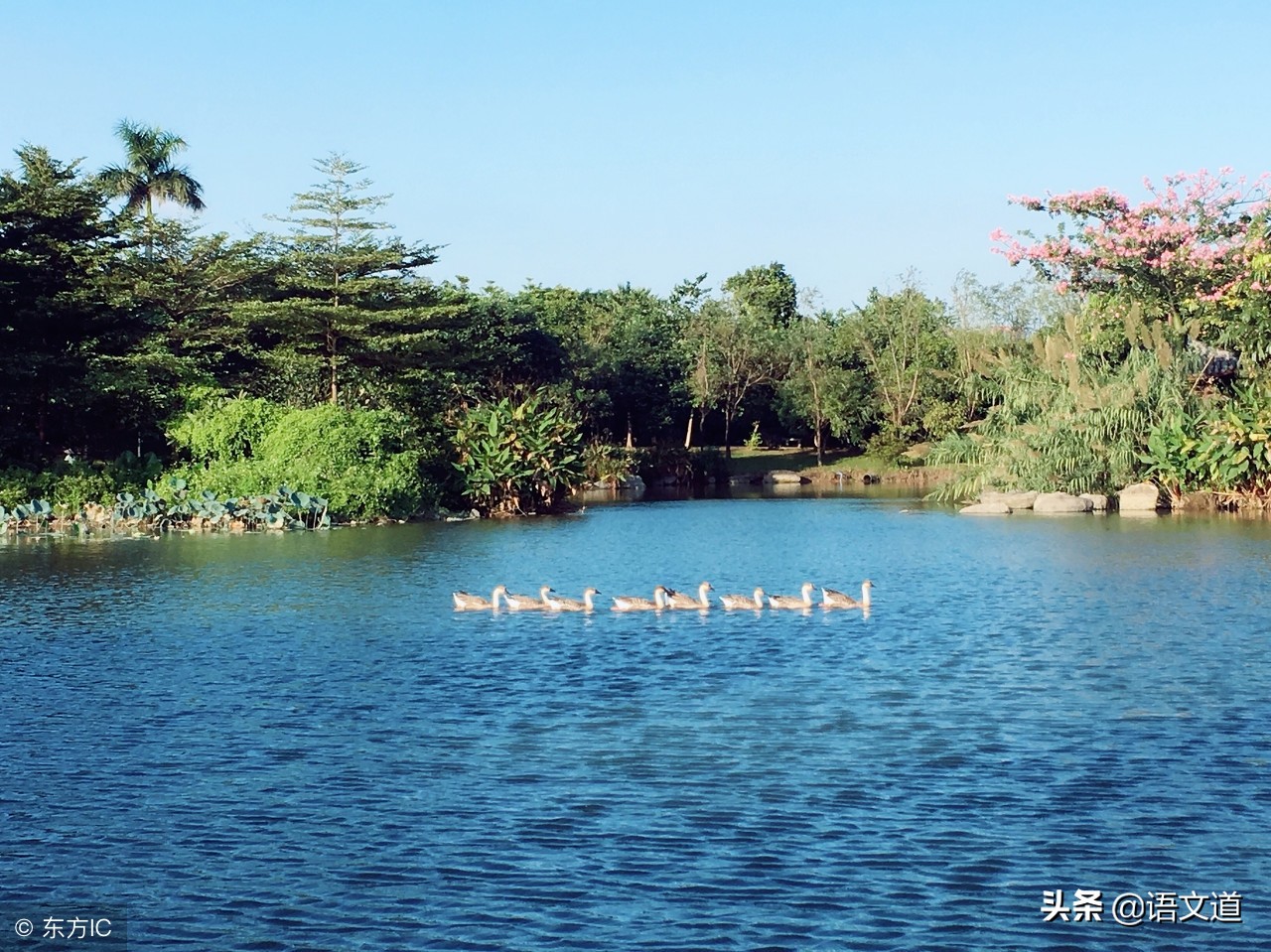 唐诗王昌龄讲解,王昌龄青楼曲二首赏析