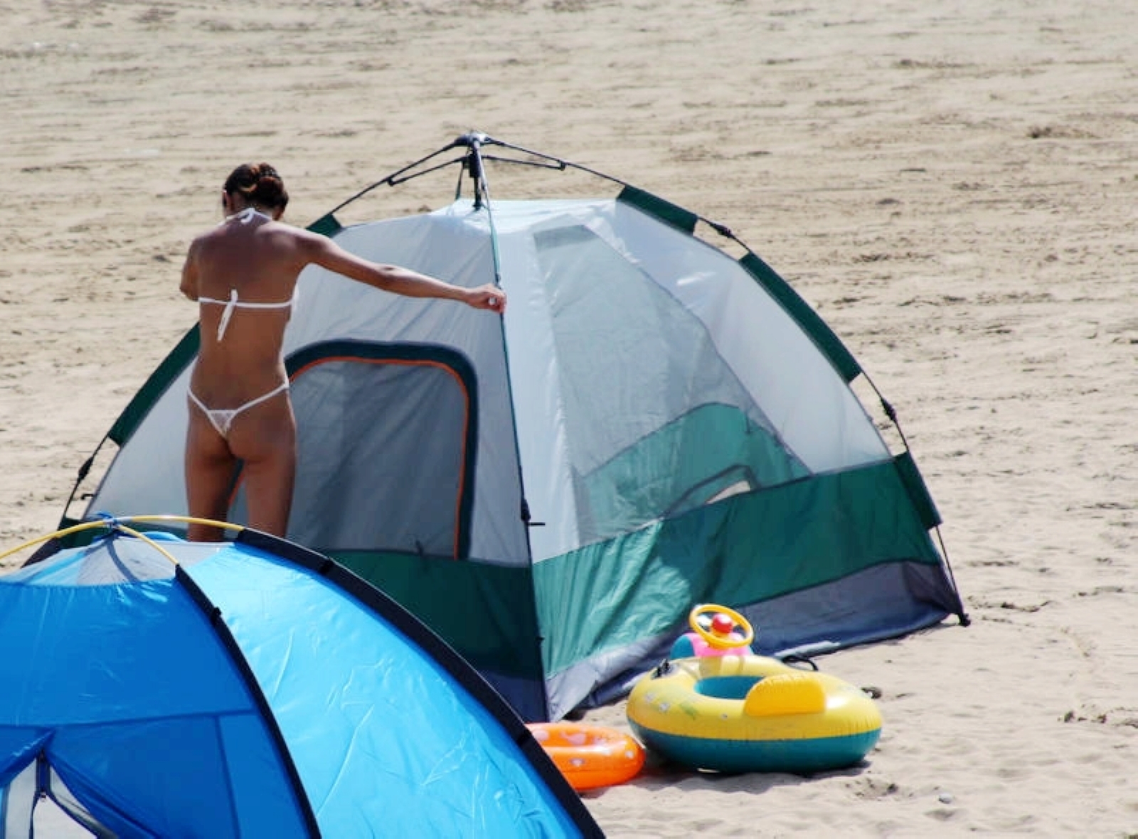 纪念失去后的重生,纪念失去的一切