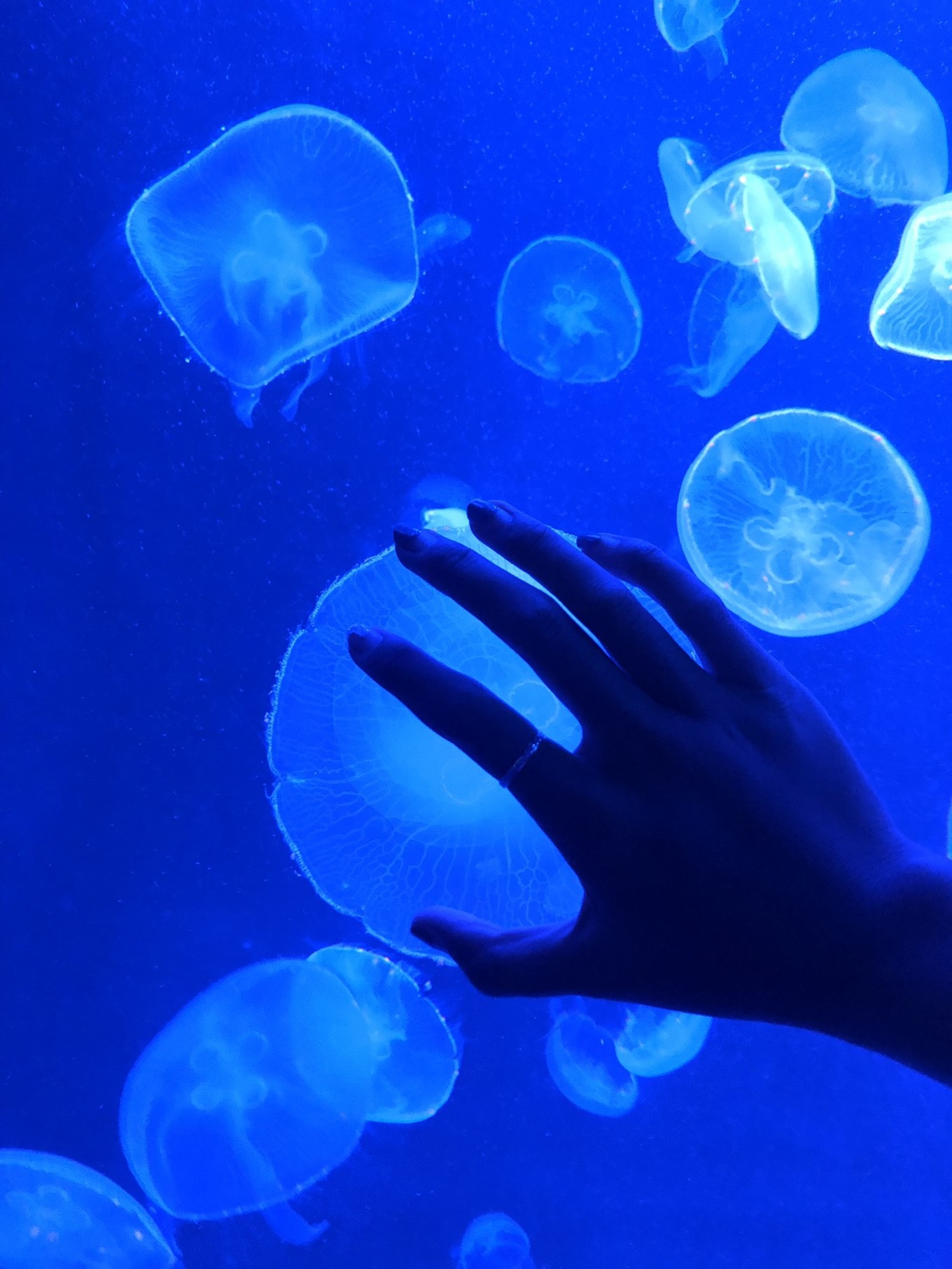 圣淘沙名胜世界攻略,请收下这份旅游攻略