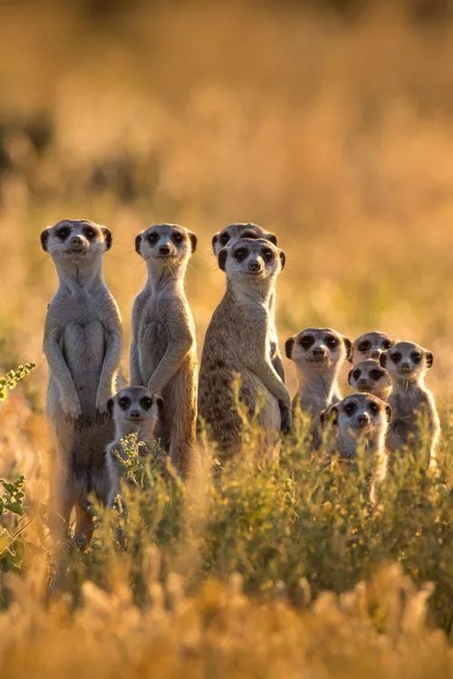 发现被别人偷拍照片,偷拍别人的照片是否违法