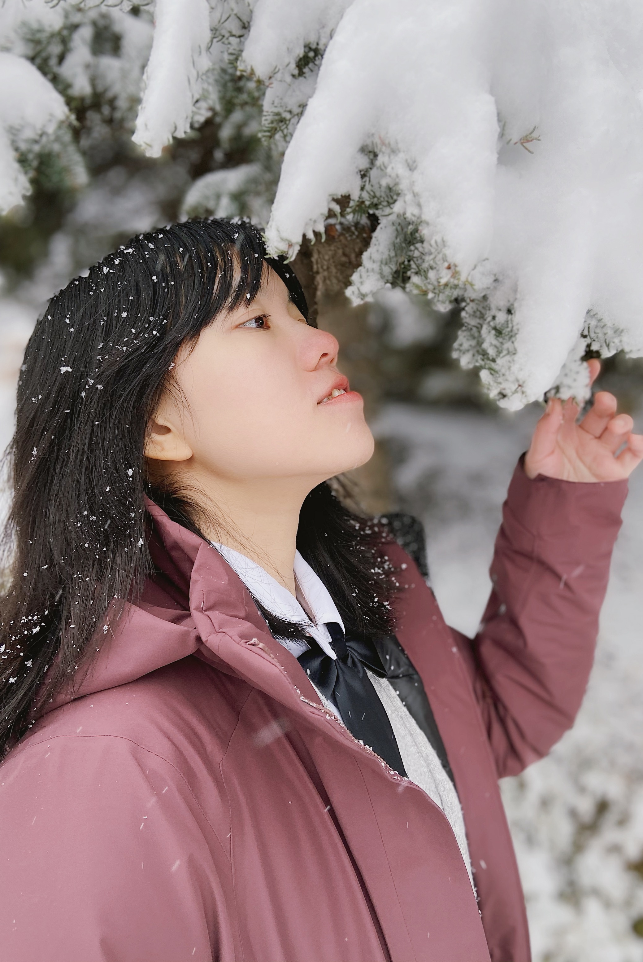 始祖鸟顶级羽绒服macai极寒测评,始祖鸟macai羽绒服拆解