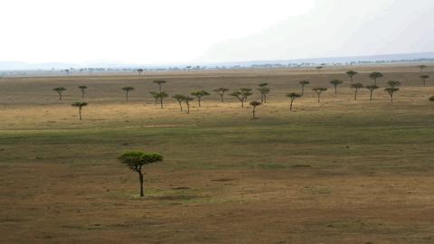 豆瓣2.5分神作,豆瓣9.5分的神作不该如此小众