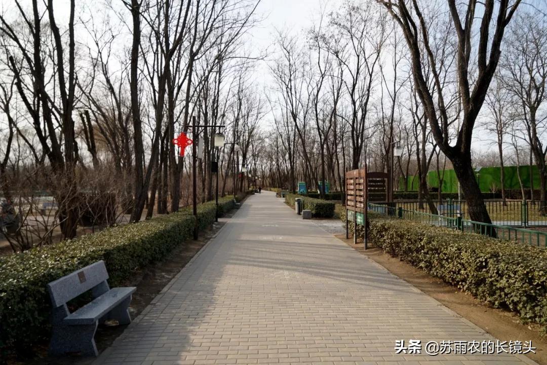 京城闹市寻幽（89）：春节假期中萧瑟的古塔公园