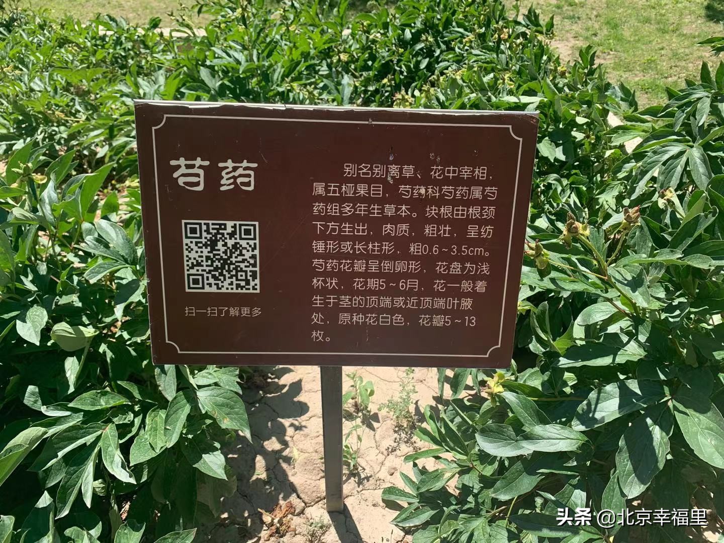 大悦城附近包含哪些小区 (大悦城最好小区图)