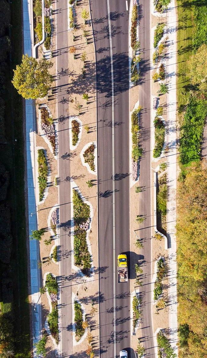 道路设计效果图,个性路面设计