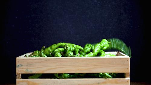 好吃的湖南湘菜品牌有哪些,正宗湖南湘菜馆在深圳