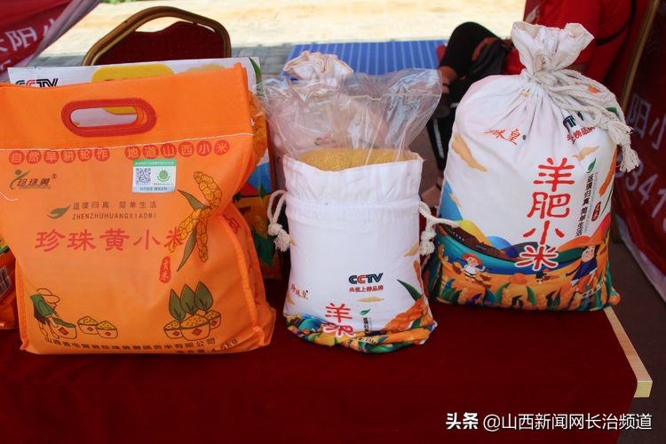 “我们身边的二青会”系列报道之五：看精彩赛事品屯留美食