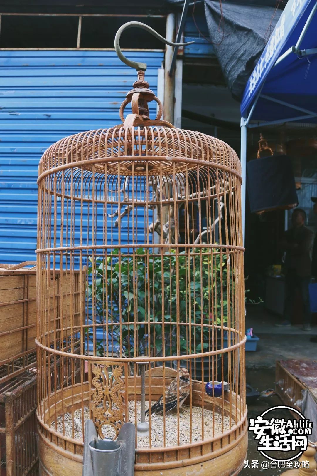 老周谷堆水果批发市场,老周谷堆古玩市场