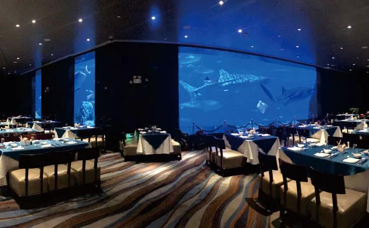 珠海长隆海洋王国建造,珠海长隆海洋王国海底房顶