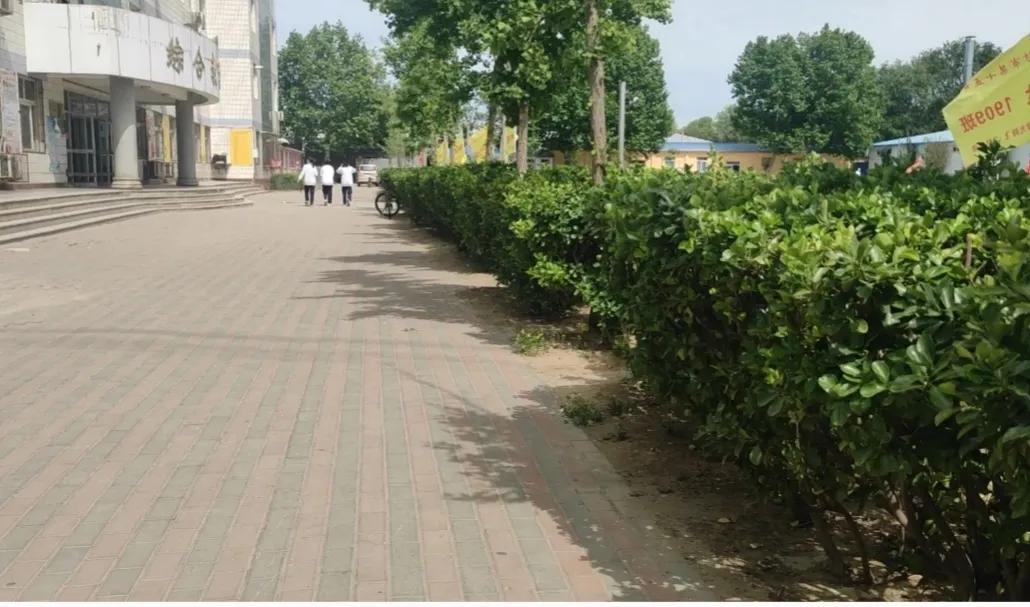 廊坊十五中原图,关于廊坊十五中的视频