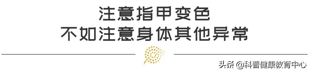 手相的科学解释,从医学角度解读手相的秘密
