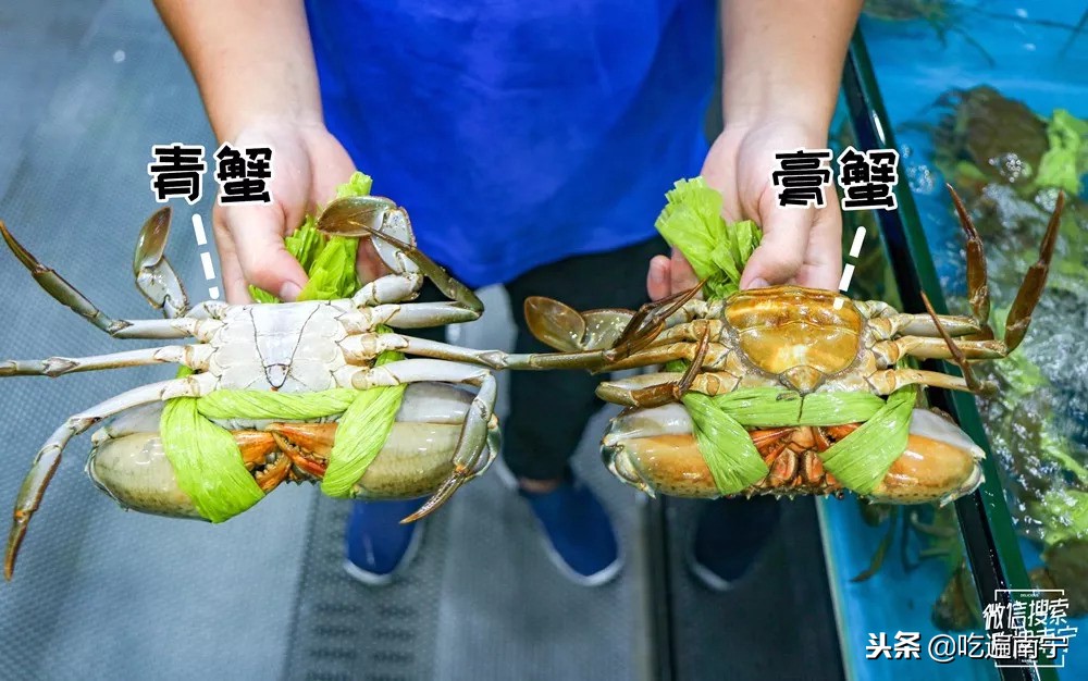 南宁吃螃蟹店推荐哪家,南宁十大蟹神店