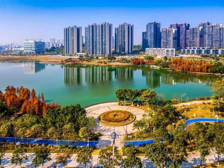 上海有哪些免费的地方和景点,上海10个好玩的地方