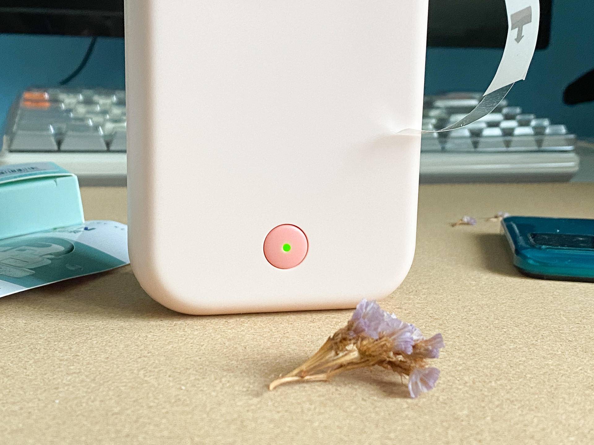 标签纸胶带纸随意打，家里小物分得清，小标D30S打印机体验