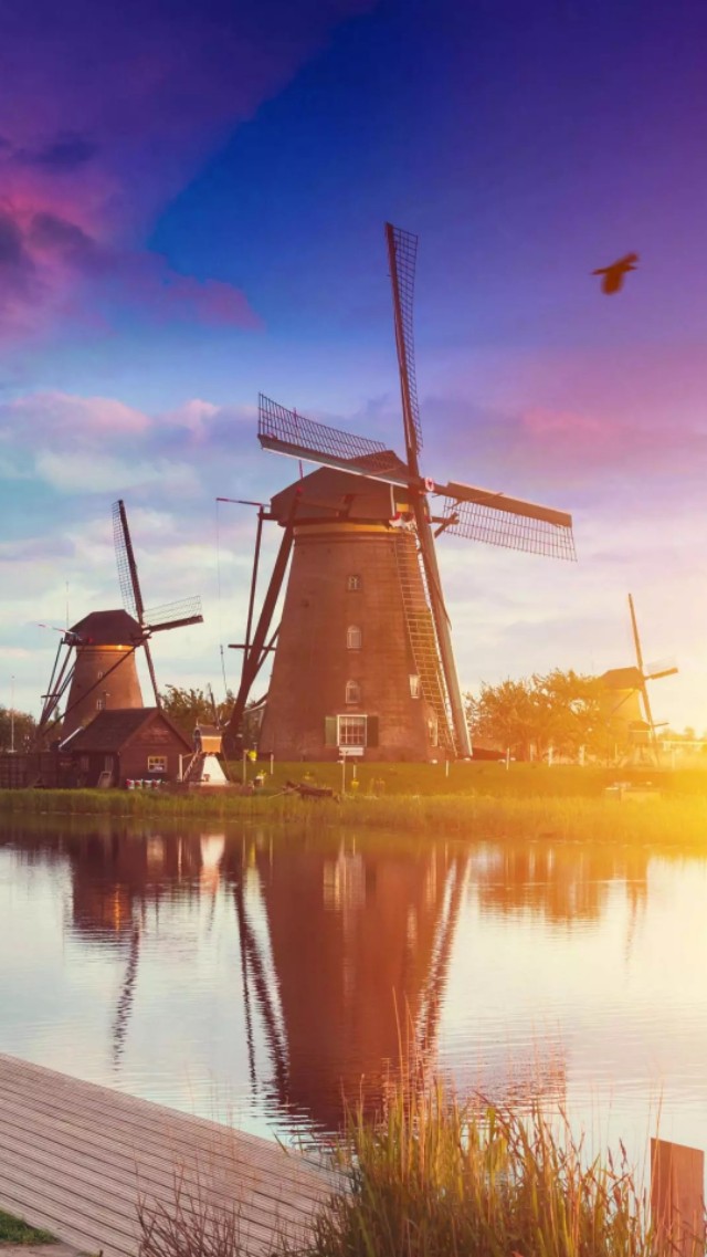 风车壁纸动态壁纸高清全屏90帧,努力赚钱吧手机壁纸图