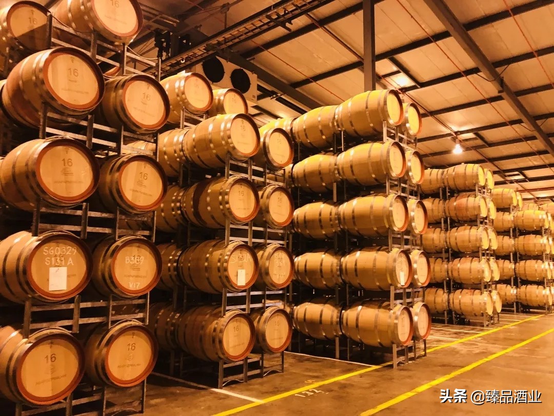 浙江臻品红酒价格,奔富酒庄的特点